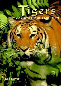 Hardcover Tigers: A Look Into the Glittering Eye Book