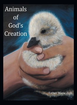 Hardcover Animals of God's Creation Book