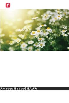 Paperback Práticas e ferramentas de gestão de recursos humanos [Portuguese] Book