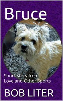 Paperback Bruce: Short Story from Love and Other Sports Book