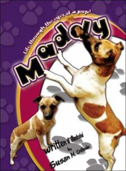 Paperback Maddy Book