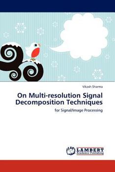 Paperback On Multi-Resolution Signal Decomposition Techniques Book