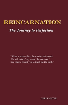 Paperback Reincarnation: The Journey to Perfection Book