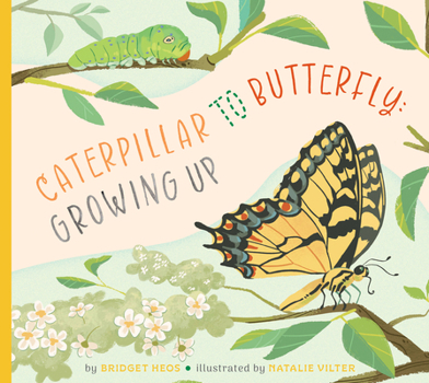 Library Binding Caterpillar to Butterfly: Growing Up Book