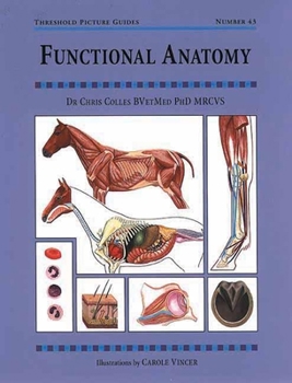 Paperback Functional Anatomy: Threshold Picture Guide No 43 Book