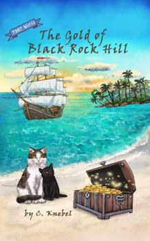 Paperback The Gold of Black Rock Hill: Decodable Chapter Books for Kids with Dyslexia Book