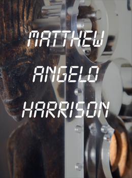 Hardcover Matthew Angelo Harrison Book