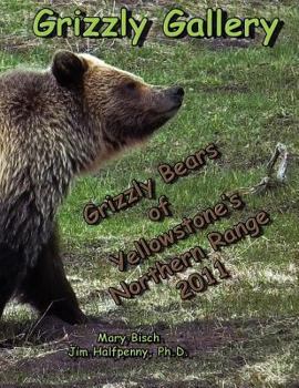 Paperback Grizzly Gallery: Grizzly Bears of Yellowstone's Northern Range 2011 Book