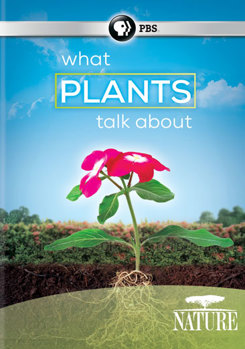 DVD Nature: What Plants Talk About Book