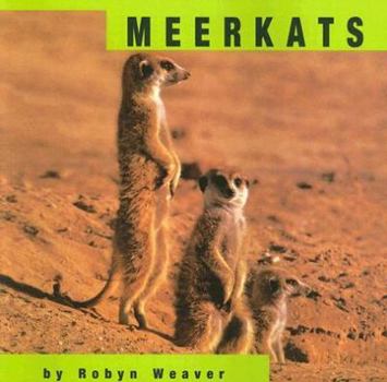 Paperback Meerkats Book