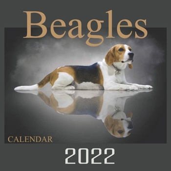 Calendar 2022 Beagles: Official Calendar 2022 Beagle Dogs, Animals Dogs Breeds, Square 2022 Calendar,12 month Calendar 2022