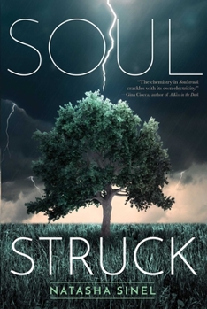 Hardcover Soulstruck Book