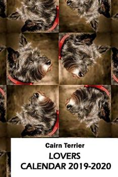Paperback Cairn Terrier Lovers Calendar 2019-2020 Book