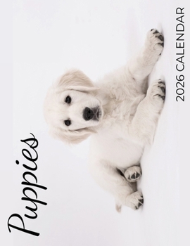 Paperback Puppies 2026 Calendar Book