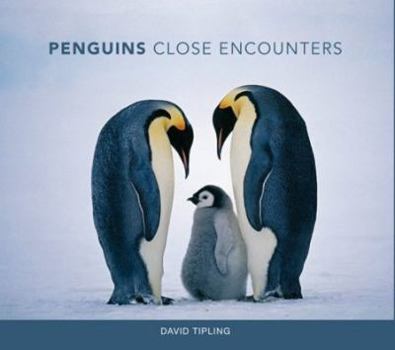 Hardcover Penguins: Close Encounters Book