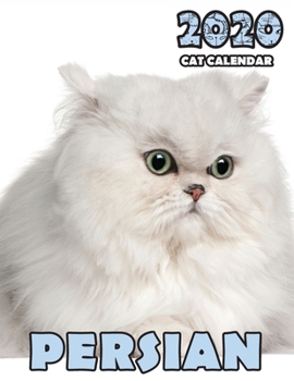 Paperback Persian 2020 Cat Calendar Book