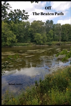 Paperback Off The Beaten Path: 4 year Blood Glucose Tracker Book