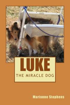 Paperback Luke - The Miracle Dog Book