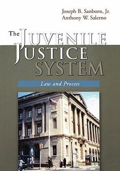 Paperback The Juvenile Justice System: Law and Process Book