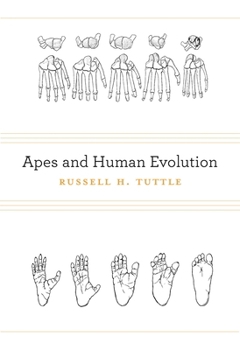 Hardcover Apes and Human Evolution Book