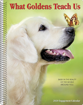 Calendar What Goldens Teach Us 2020 Engagement Calendar (Dog Breed Calendar) Book