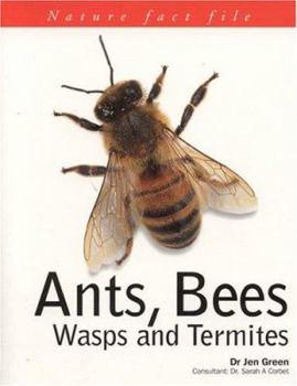 Paperback Ants, Bees, Wasps & Termites Book