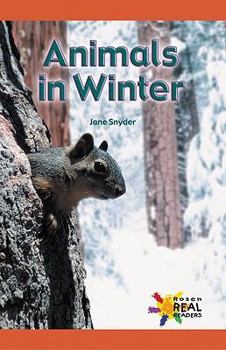 Paperback Animals in Winter Book