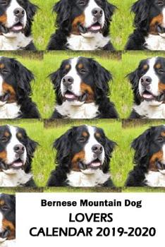 Paperback Bernese Mountain Dog Lovers Calendar 2019-2020 Book
