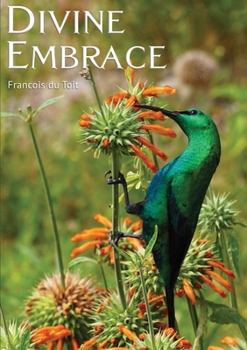 Paperback DIVINE EMBRACE New, 30 Chapter, 458page Revised Edition [Large Print] Book