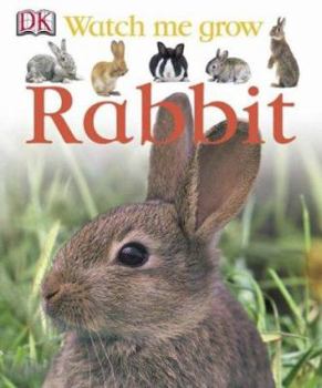 Hardcover Rabbit Book