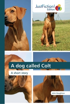 Paperback A dog called Colt Book