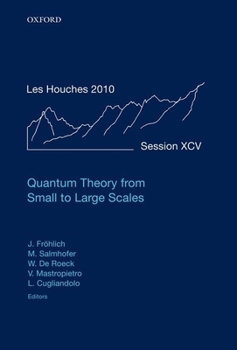 Hardcover Quantum Theory from Small to Large Scales Book
