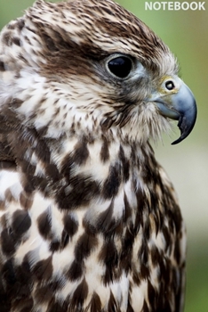 Notebook: Wild Nature Series, Hawk , Journal for Writing, College Ruled, Lined Notebook, Soft Cover, Matte, Size 6"x 9" inches, 120 Pages