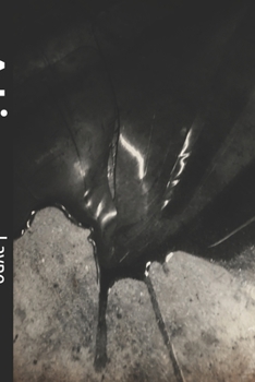 Paperback A Lie Book