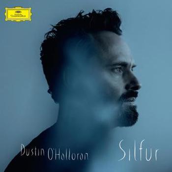 Vinyl Silfur (2 LP) Book