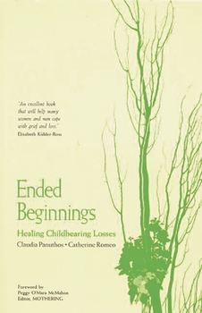 Paperback Ended Beginnings: Healing Childbearing Losses Book