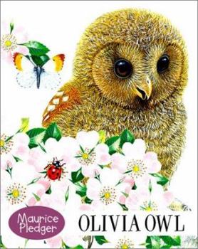 Board book Olivia Owl Book
