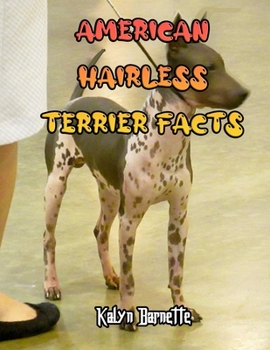 American Hairless Terrier Facts: AMERICAN HAIRLESS TERRIER fact for girl age 1-10 AMERICAN HAIRLESS TERRIER fact for boy age 1-10 facts about all abou