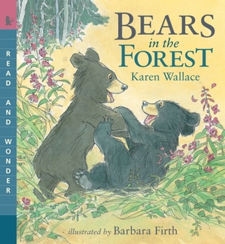 Bears in the Forest - Book  of the Nature Storybooks