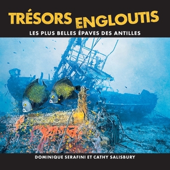 Paperback Trésors Engloutis: Les plus belles épaves des Antilles [French] Book