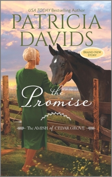 Mass Market Paperback The Promise: A Clean & Wholesome Romance Book