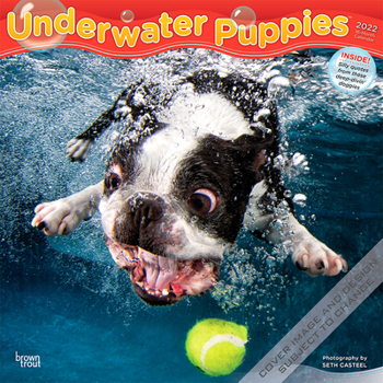 Underwater Puppies 2022 12 x 12 Inch Monthly Square Wall Calendar, Pet Humor Dogs