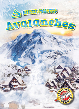 Library Binding Avalanches Book