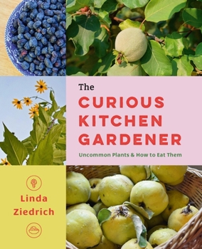 Paperback The Curious Kitchen Gardener: Uncommon Plants and How to Eat Them Book