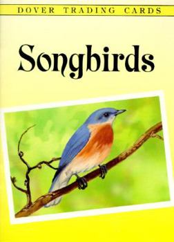 Cards Songbirds Trading Cards Book