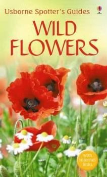 Spotter's guide to wild flowers - Book  of the Usborne Spotter's Guide