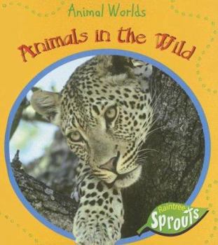 Library Binding Animals in the Wild Book