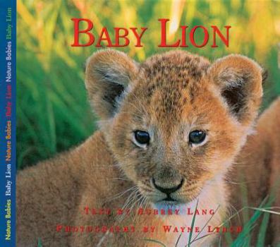 Hardcover Baby Lion Book