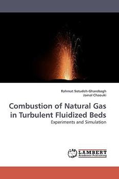 Paperback Combustion of Natural Gas in Turbulent Fluidized Beds Book