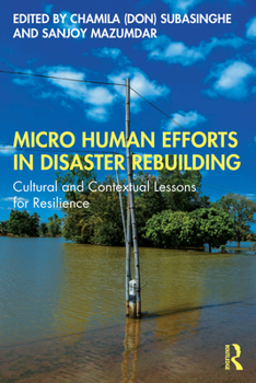 Paperback Micro Human Efforts in Disaster Rebuilding: Cultural and Contextual Lessons for Resilience Book